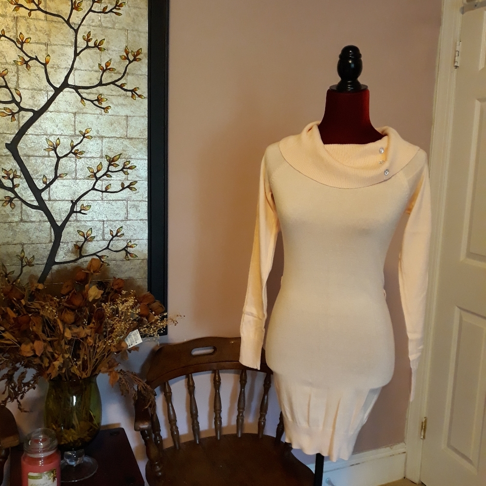 Sweater Dress